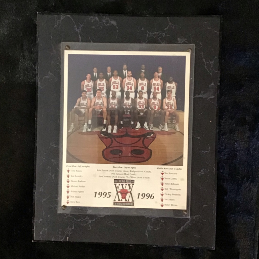 Bulls 9596 Championship Plaque